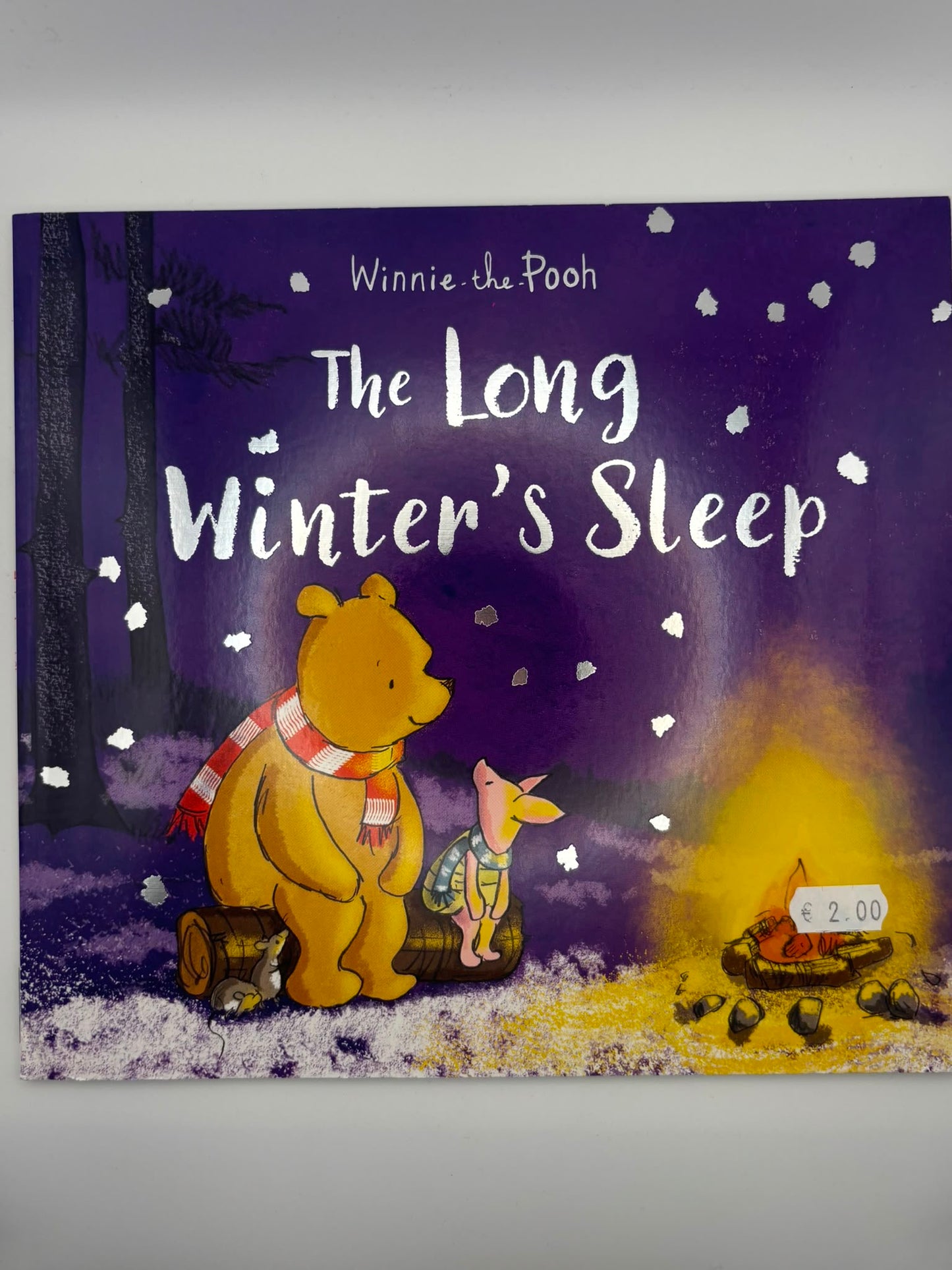 Winnie-The-Pooh: the Long Winter's Sleep