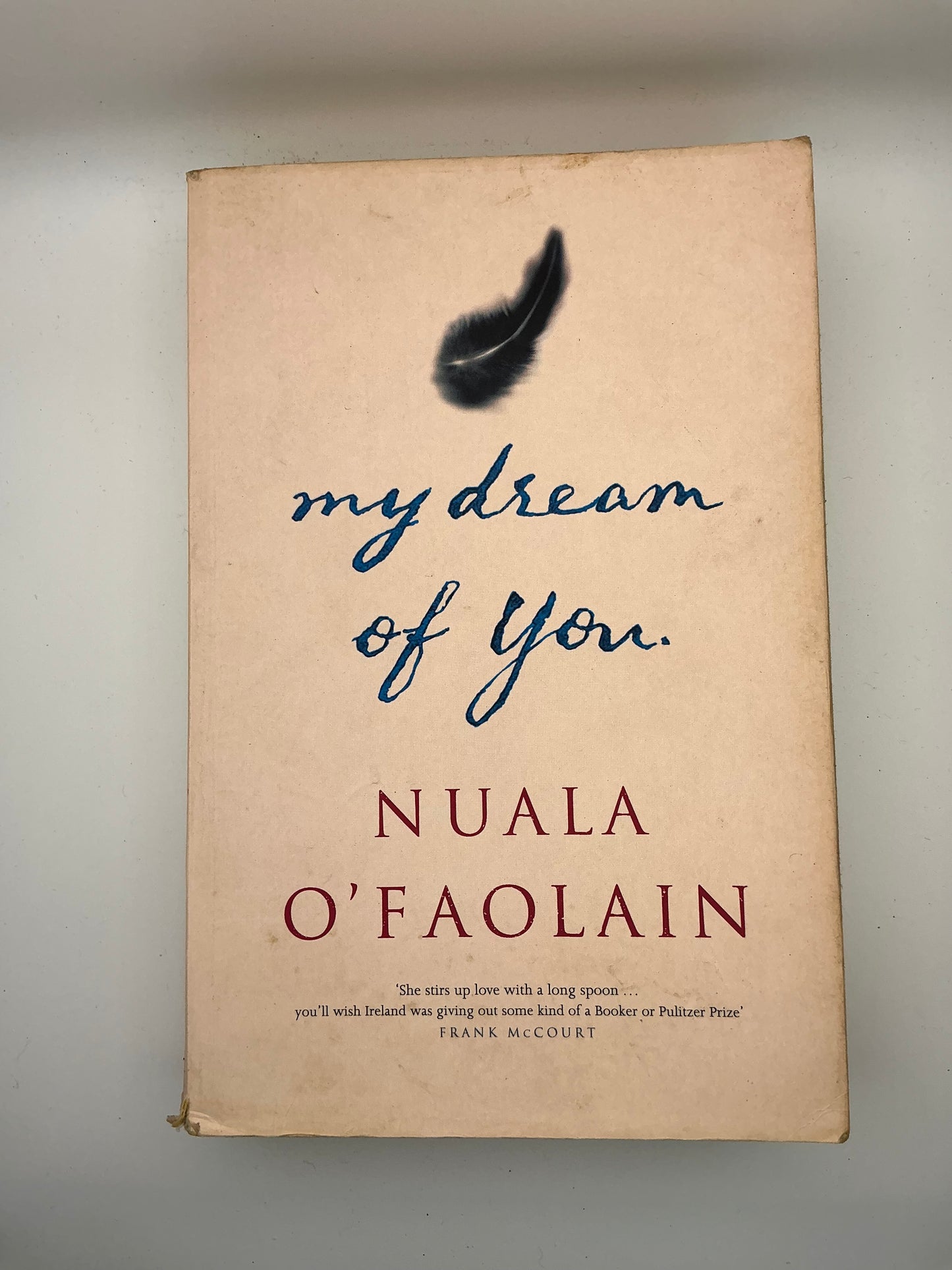 My Dream of You