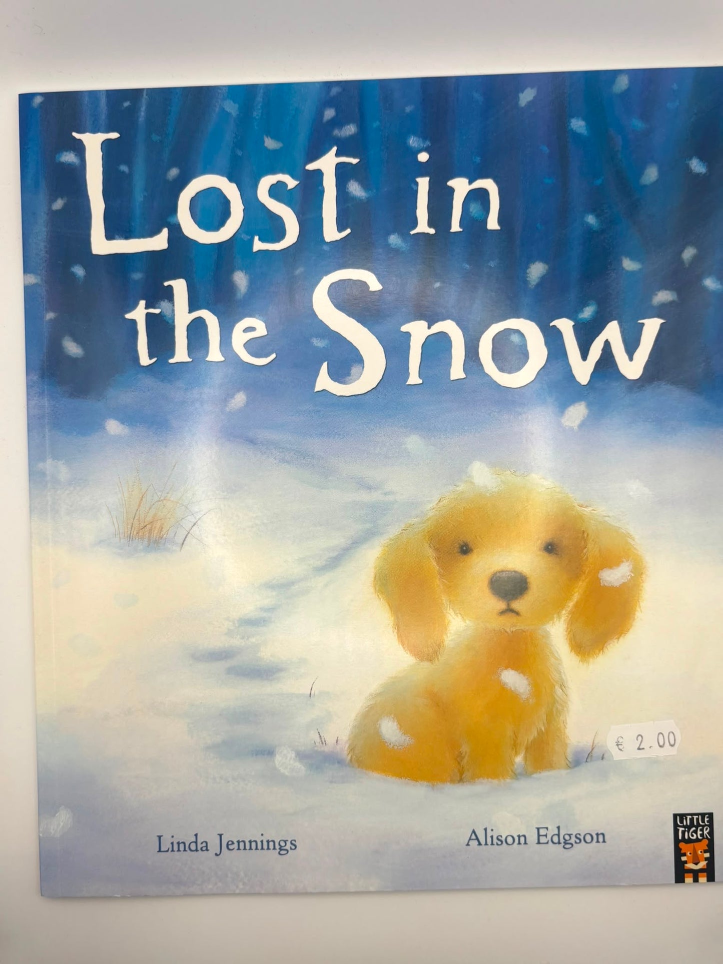 Lost in the Snow