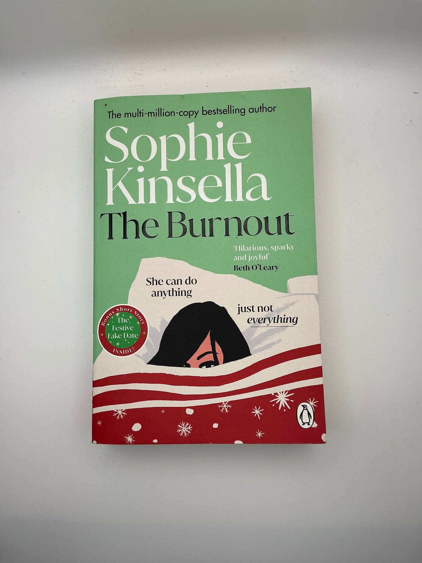 The Burnout: A Novel