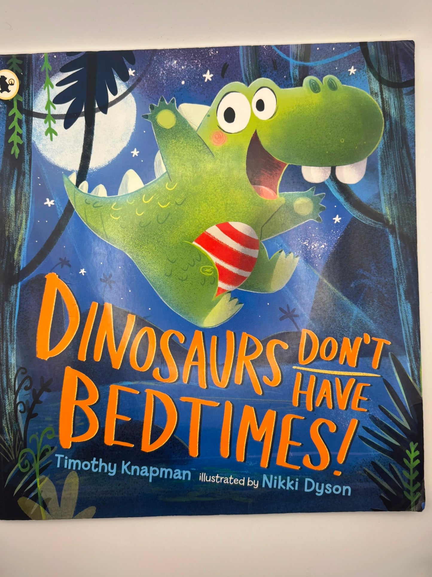 Dinosaurs Don't Have Bedtimes!