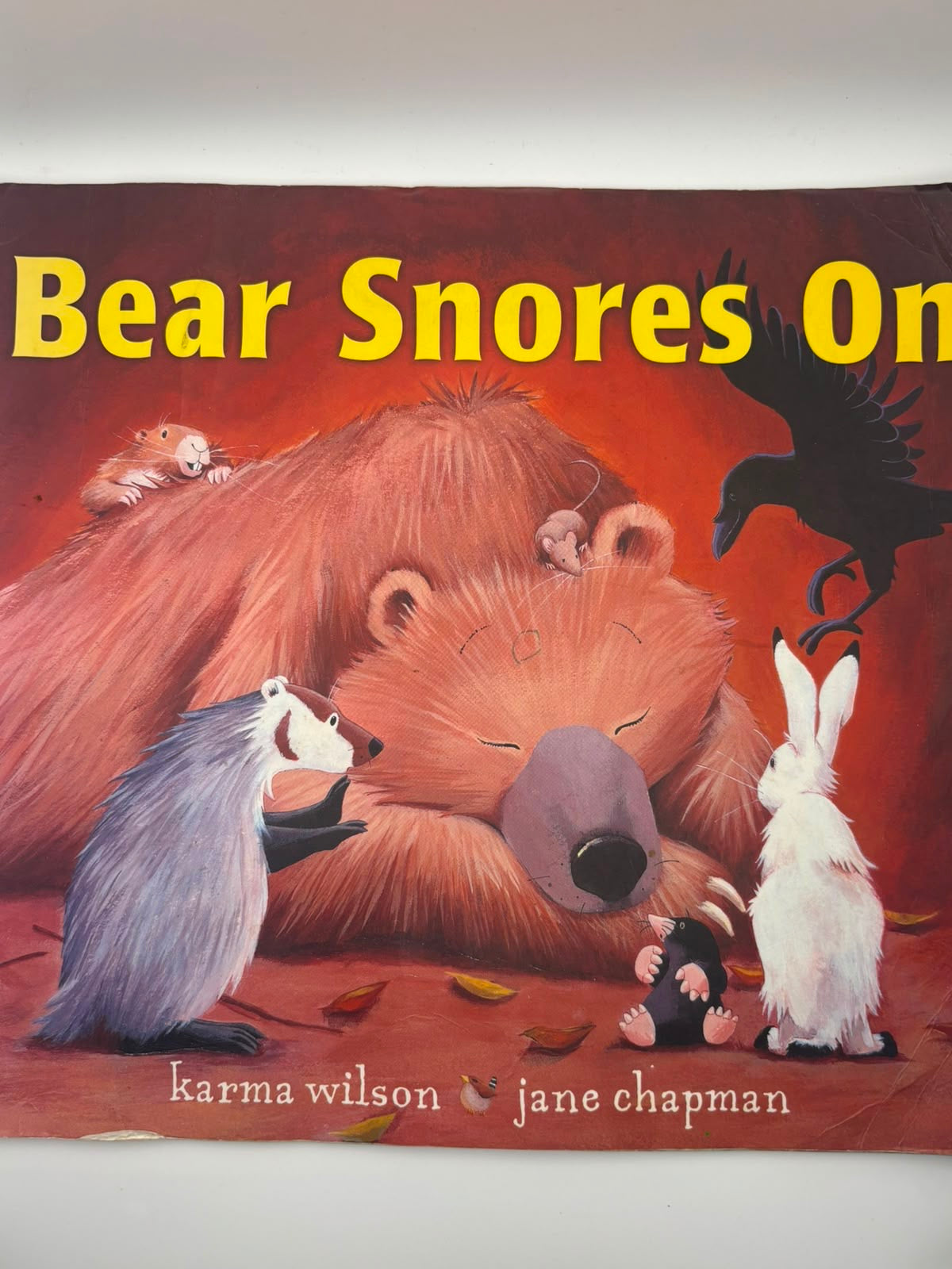 Bear Snores On