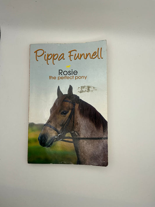 Tilly's Pony Tails: Rosie the Perfect Pony
