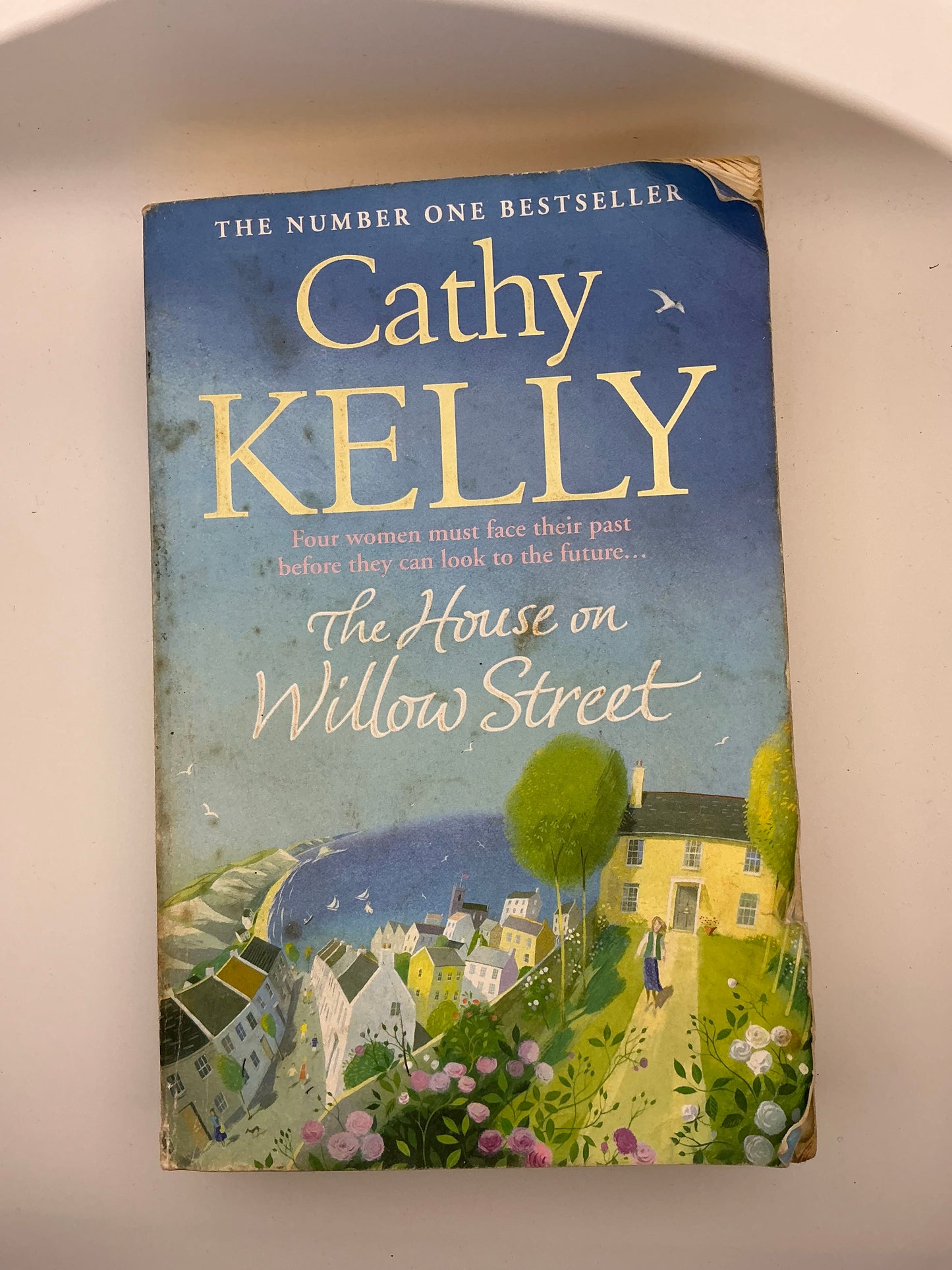 The House on Willow Street: A Novel