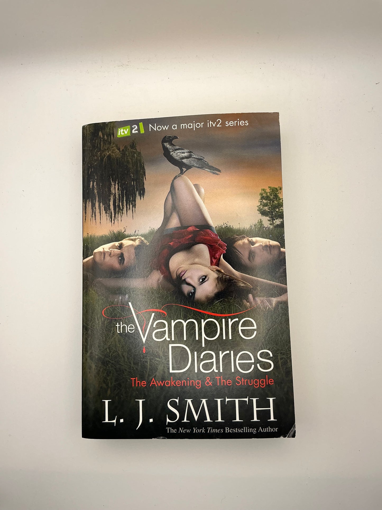 The Vampire Diaries: The Vampire Diaries: The Reunion: Book 4