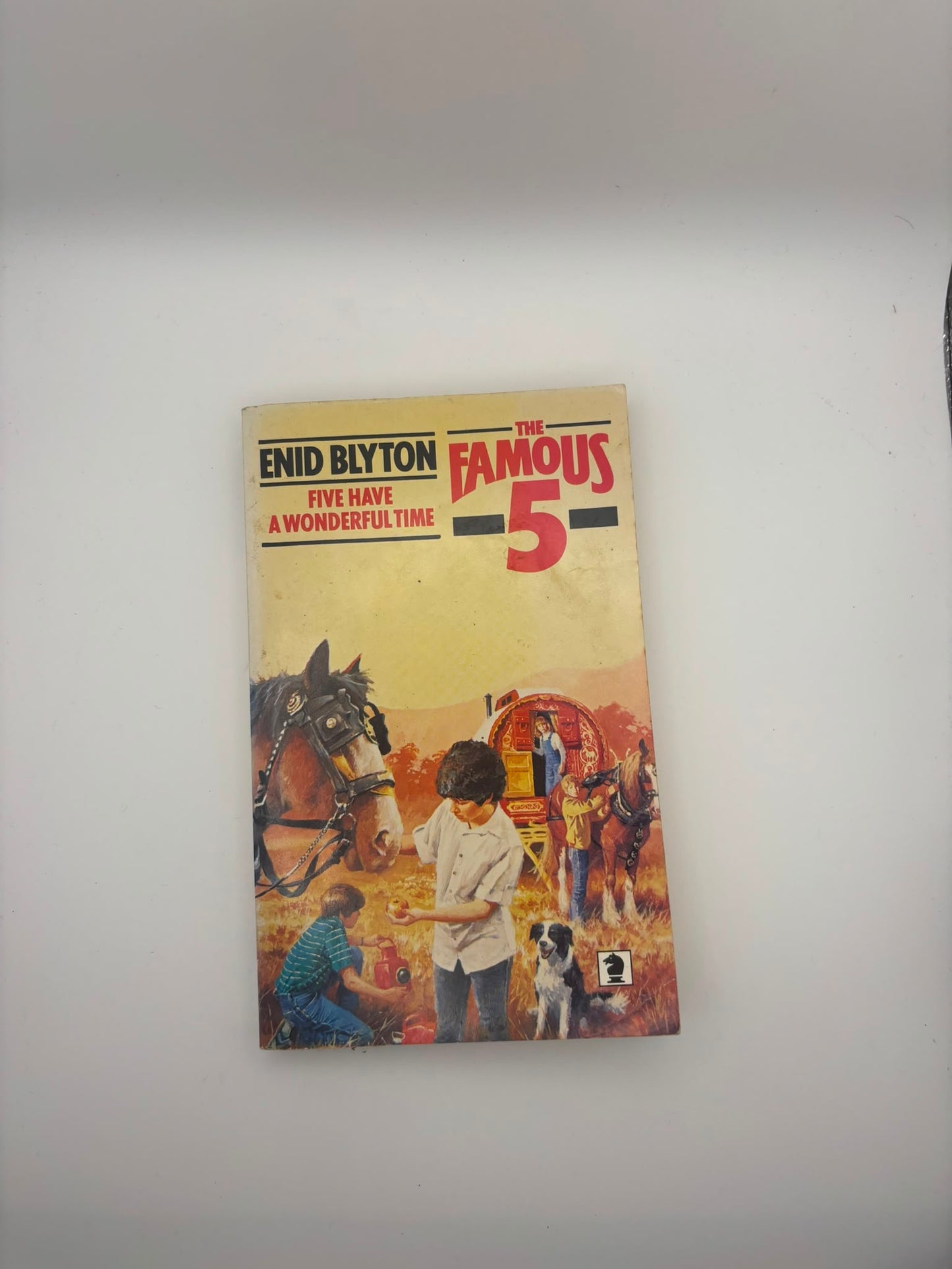 Famous Five: Five Have a Wonderful Time