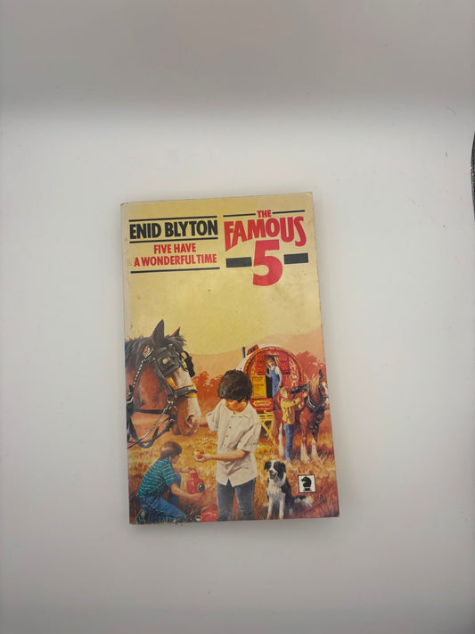 Famous Five: Five Have a Wonderful Time