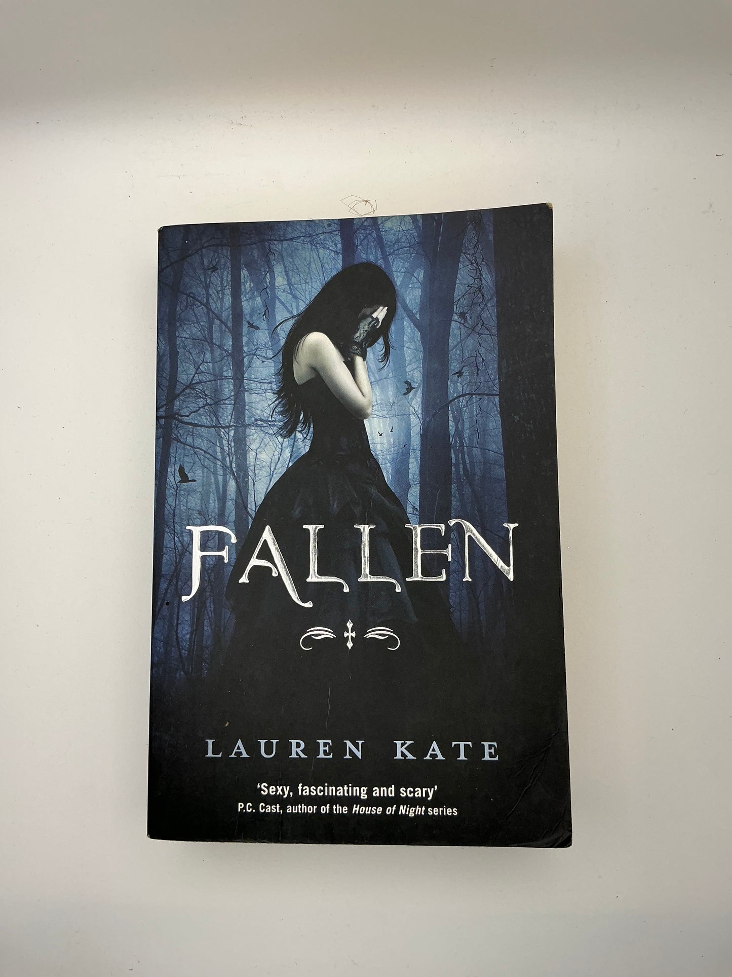 Fallen: Fallen: Book 1 of the Fallen Series