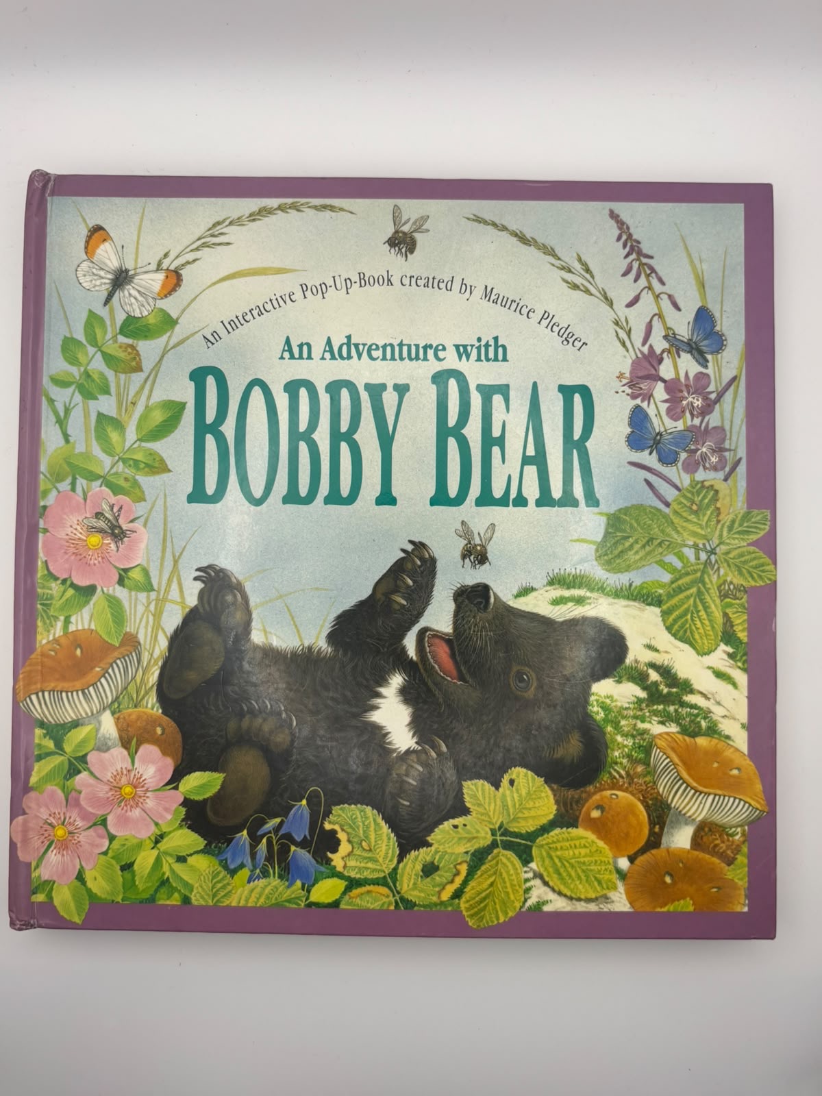An Adventure with Bobby Bear: An Interactive Pop-Up Book