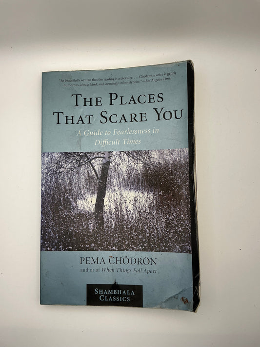 The Places that Scare You: A Guide to Fearlessness in Difficult Times