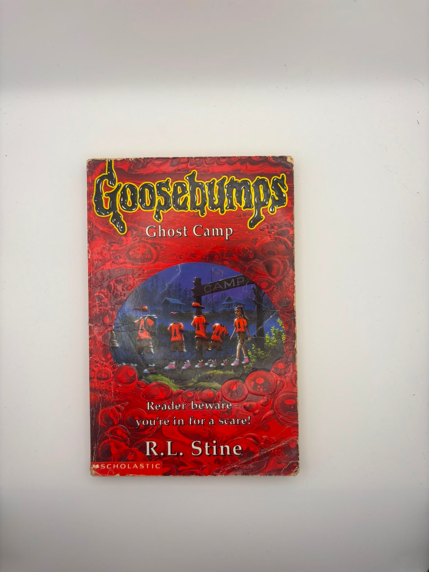 Goosebumps: Goosebumps: Ghost Camp: To Reveal the Innermost Secrets of Personality