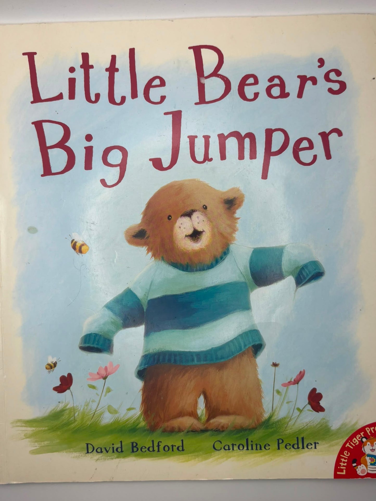 Little Bear's Big Jumper