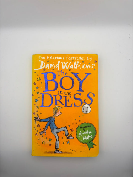 The Boy in the Dress