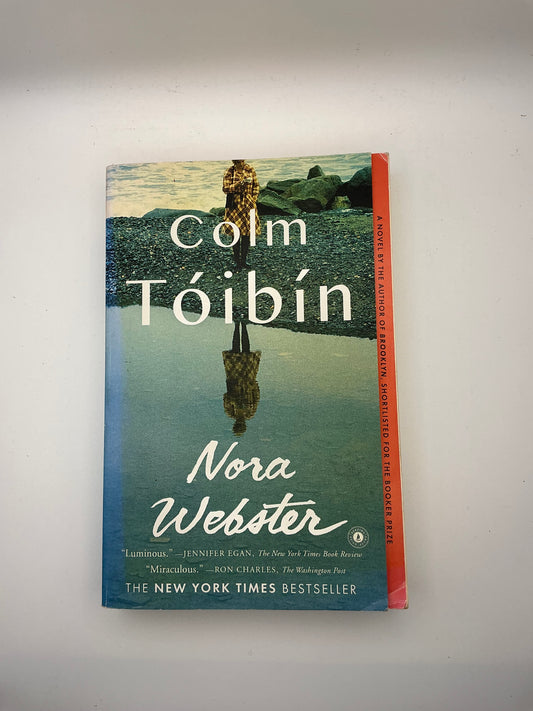 Nora Webster: Roman