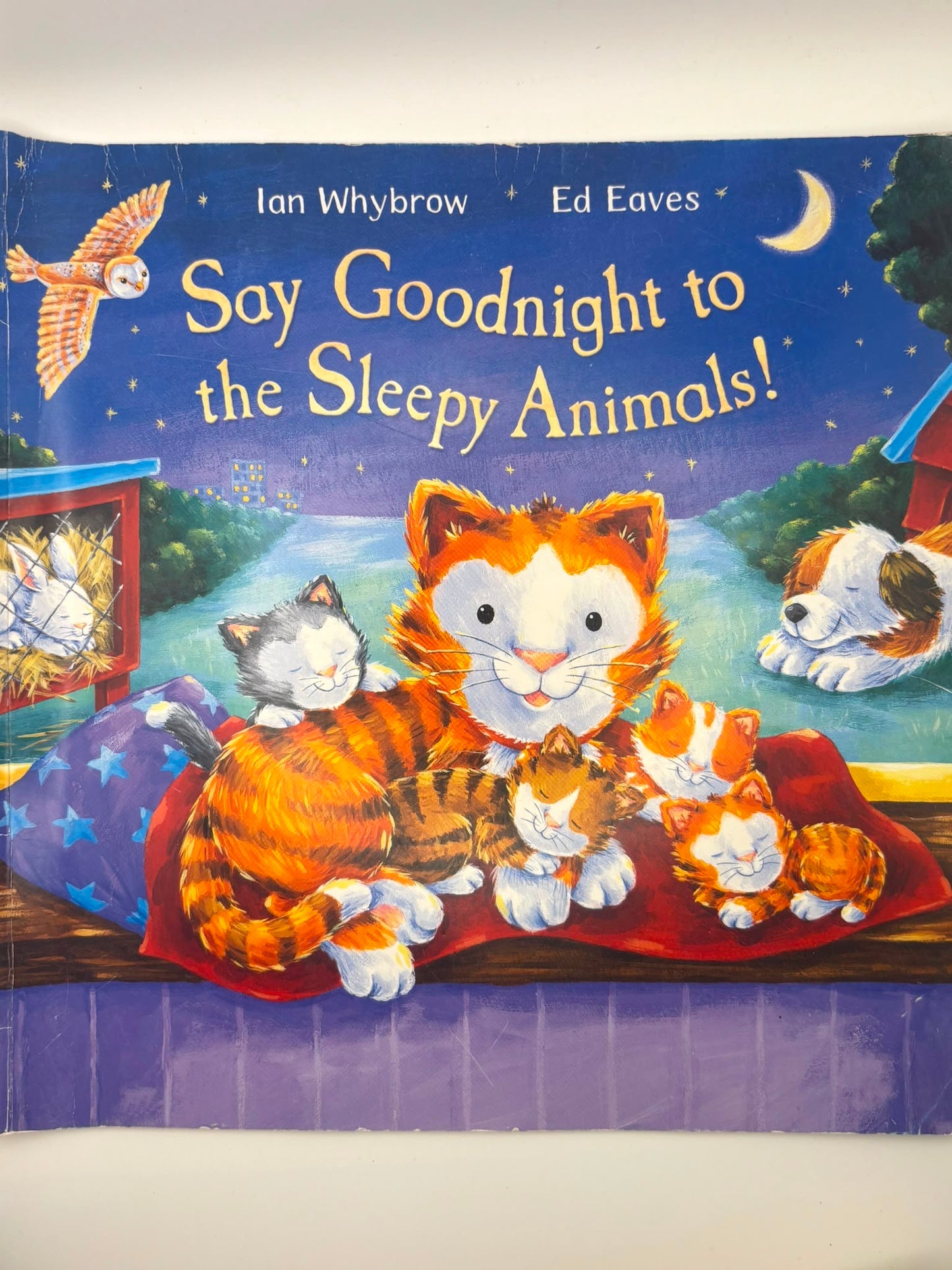 Say Hello: Say Goodnight to the Sleepy Animals