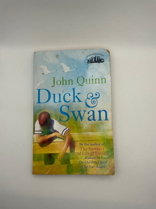 Duck and Swan