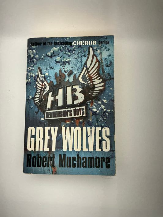 Henderson's Boys: Henderson's Boys 4: Grey Wolves