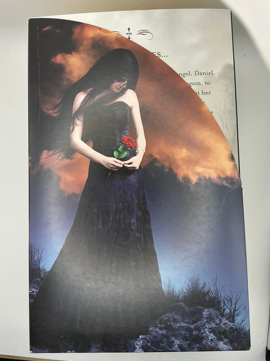 Fallen: Book 1 of the Fallen Series