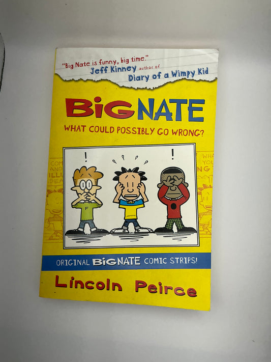 Big Nate: Big Nate: Double Or Nothing: Big Nate: What Could Possibly Go Wrong? and Big Nate: Here Goes Nothing